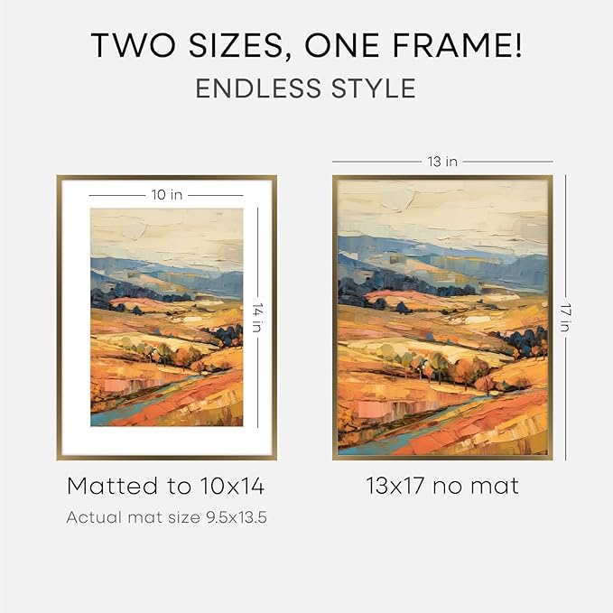 Homeforia 13x17 Picture Frame Bronze, High End Metal 13x17 Brass Poster Frames with Mat 10x14 Photo, 13 x 17 Frame Matted to 10 by 14 inch Print, 17by13 Thin Frames, Tempered Glass, Wall Kit, Set of 3