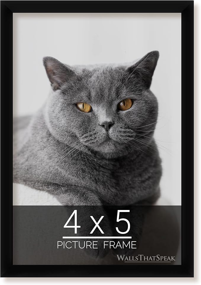 wallsthatspeak 4x5 Black Picture Frame for Puzzles Posters Photos or Artwork
