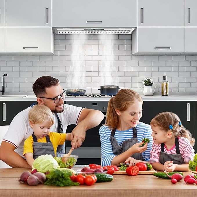 Range Hood 30 Inch Insert, 950 CFM Kitchen Hood with 4-Speed Exhaust Fan,Smart Remote/Gesture/Touch Control, Stainless Steel Vent Hood with 3W Dimmable LED Lights,Ducted/Ductless