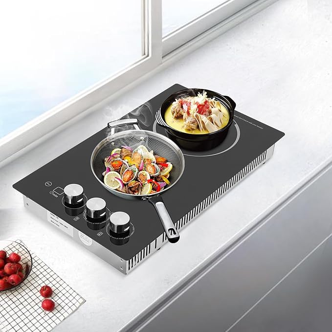2-Burner Electric Cooktop, 20 Inch Electric Stovetop, Built-in Induction Stove Top for Home Kitchen, Stainless Steel Glass Ceramic Cooktop with Child Lock