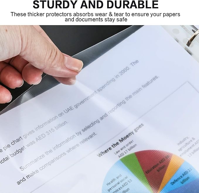 Sheet Protectors, PANDRI 500 Pack Clear Heavy Duty Plastic Page Protectors Sheet Reinforced 11-Hole Fit for 3 Ring Binder Fits Standard 8.5 x 11 Paper, 9.25 x 11.25 Top Loaded, Excluding Acid