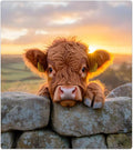 Animal Highland Cow Dishwasher Magnet Cover Highland Cow Magnetic Dishwasher Decorative Cover Front Dishwasher Door Cover Reuseable Dishwasher Cover for Kitchen Refrigerator Home Appliances 23" X 26"