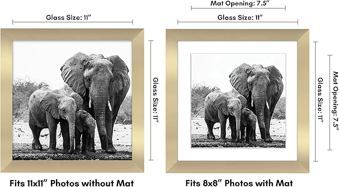 Americanflat 11x11 Picture Frame with Shatter-Resistant Glass - Use as 8x8 Frame with Mat or Display 11x11 Photo Without Mat - Signature Collection - Square Frames for Wall Display - Gold