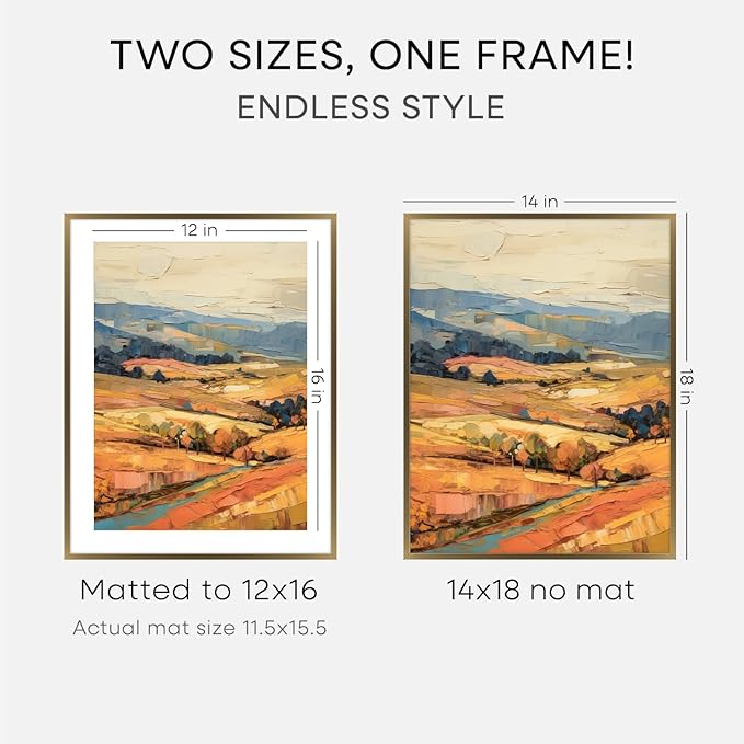 Homeforia 14x18 Picture Frame Bronze, High End Metal 14x18 Brass Poster Frames with Mat 12x16 Photo, 14 x 18 Frame Matted to 12 by 16 inch Print, 18by14 Thin Frames, Tempered Glass, Wall Kit, Set of 3