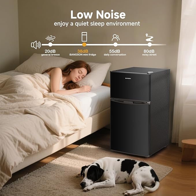 BANGSON Mini Fridge with Freezer, 2 Door Small Refrigerator with Freezer, Small Fridge for Bedroom, 3.2 CU.FT, For Home, Office, Dorm, Garage or RV, Black