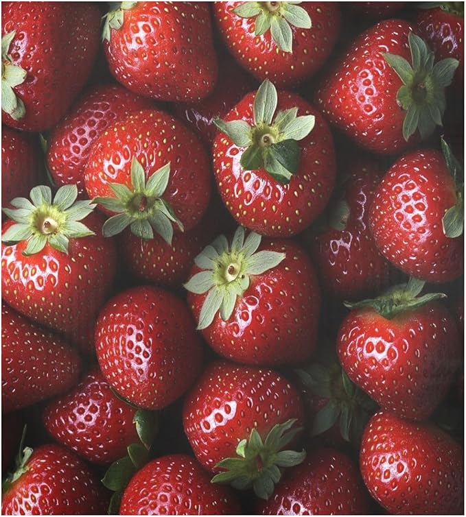 Strawberry Fruit Red Dishwasher Magnet Cover for Front Panel Magnetic Dishwasher Cover Decorative Refrigerator Magnet Covers Appliances Stickers for Kitchen Decor, 23" x 26"