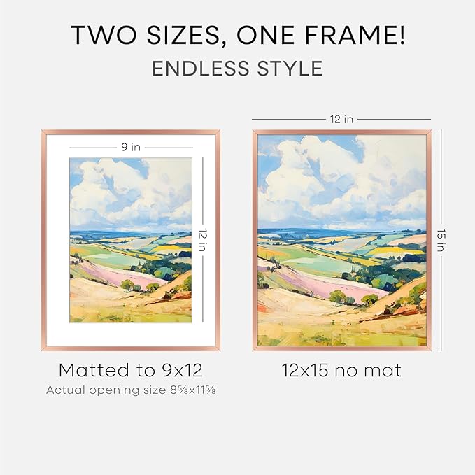 Homeforia 12x15 Rose Gold Picture Frame, High End Metal 12x15 Poster Frames with Mat 9x12 Photo, 12 x 15 Rose Gold Frames Matted to 9 by 12 Print, 15x12 Thin Frames, Tempered Glass, Wall Kit, Set of 1