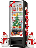 BODEGACOOLER Commercial Beverage Refrigerator, 290L Display Fridge with Soft LED Light, 264 Cans & 120 Bottles Commercial Merchandiser Refrigerator For Kitchen, Home,Office,Garage,Gym,Shop,Man cave