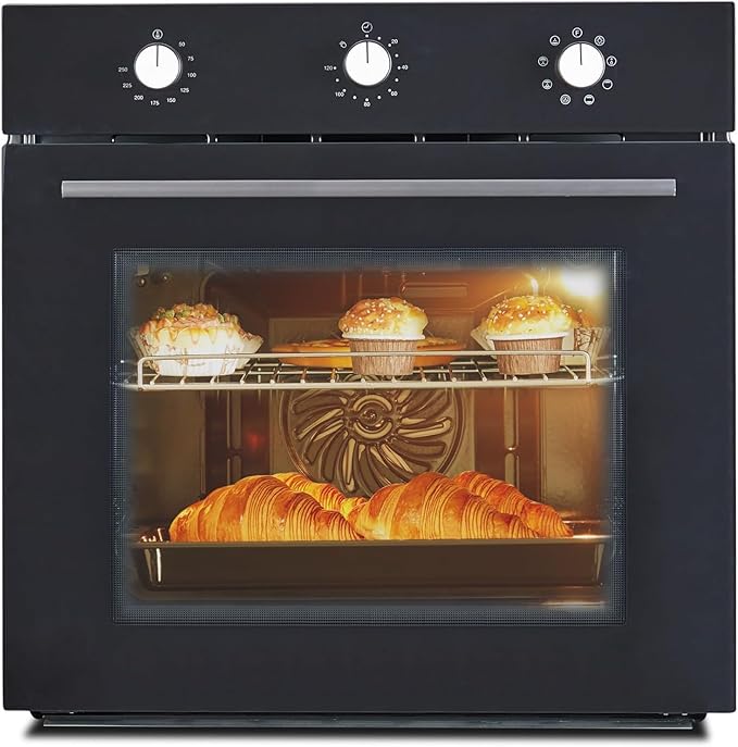 24 in Built-in Electric Wall Oven with Knob Control,70 L (2.47 Cu.Ft) Capacity,3000W Convection System & Self-Cleaning,Blue Enamel Interior,CSA Certified