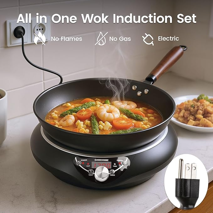 Induction Wok Cooktop Set, 2025 New & Improved Electric Skillet Induction Burner w/Carbon Steel Wok, Glass Vented Lid, Rack, 176°F to 464°F, 18 Hrs Timer, Auto-off (Black 110V~120V)