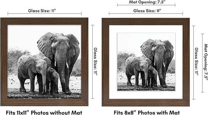 Americanflat 11x11 Picture Frame with Shatter-Resistant Glass - Use as 8x8 Frame with Mat or Display 11x11 Photo Without Mat - Signature Collection - Square Frames for Wall Display - Walnut