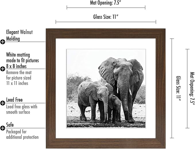 Americanflat 11x11 Picture Frame with Shatter-Resistant Glass - Use as 8x8 Frame with Mat or Display 11x11 Photo Without Mat - Signature Collection - Square Frames for Wall Display - Walnut
