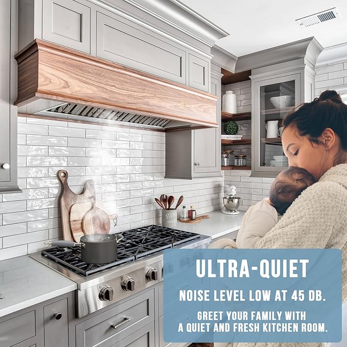 Akicon Range Hood Insert 30 Inch, 600 CFM Ultra Quiet Stainless Steel Ducted Insert, Built-in Kitchen Vent Hood with Dimmable LED Lights and Dishwasher Safe Filters