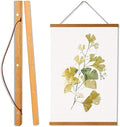 WITCOLOR Magnetic Poster Hanger Frame, 24x36 24x30 24x16 24x18 Light Wood Wooden Magnet Canvas Artwork Print Dowel Poster Hangers Frames Hanging Kit (Teak Wood, 24")