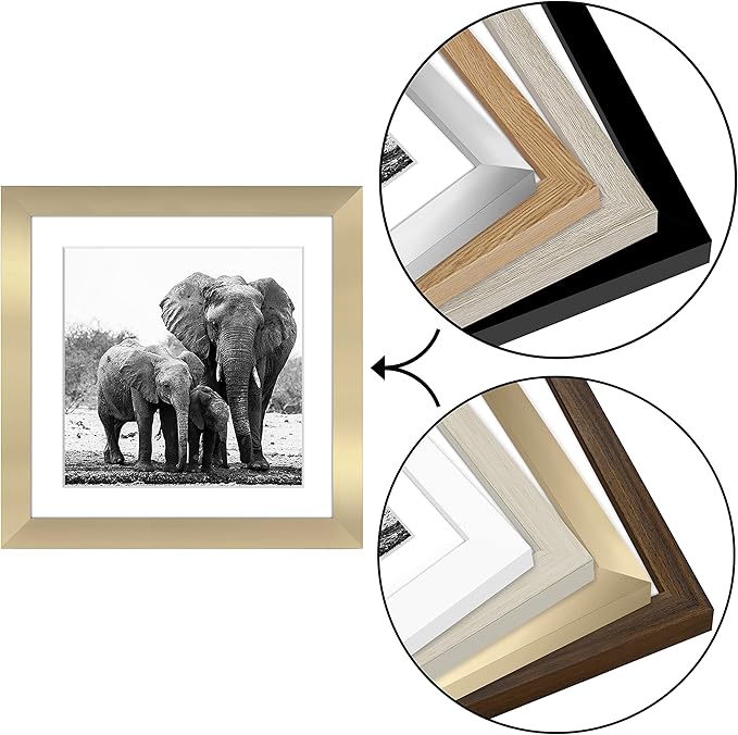 Americanflat 11x11 Picture Frame with Shatter-Resistant Glass - Use as 8x8 Frame with Mat or Display 11x11 Photo Without Mat - Signature Collection - Square Frames for Wall Display - Gold