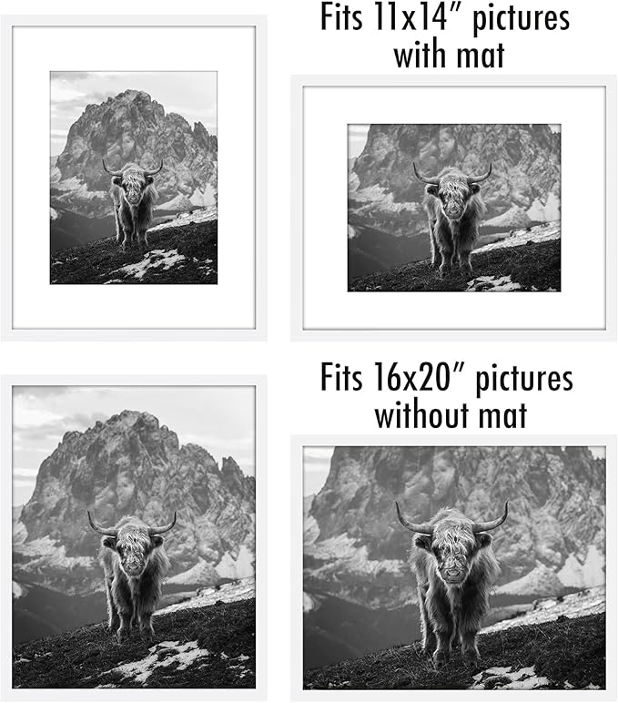 Americanflat 16x20 Picture Frame with Polished Plexiglass - Set of 5 - Use as 11x14 Frame with Mat or Display 16x20 Photo Without Mat - Galleria Collection - Picture Frames for Wall Display - White