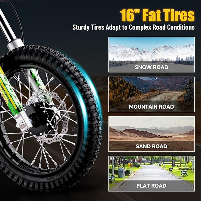 KOOZ HP112E 36V 1000W Electric Dirt Bike for Kids, 3 Speed Modes Teen Electric Motorcycle Up to 18 MPH & 15 Miles Long-Range, Dual Suspension & Disc Brake, 16" Sturdy Tire for Kids Teenagers