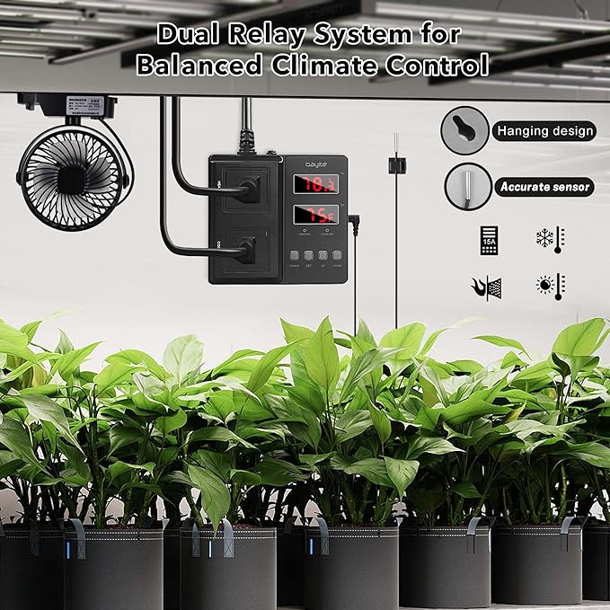 bayite Temperature Controller 1650W 15A BTC211 Dual Digital Outlet Thermostat Plug, Pre-Wired, 2 Stage Heating and Cooling Mode, 110V - 240V, Fermentation BBQ Reptile Aquarium