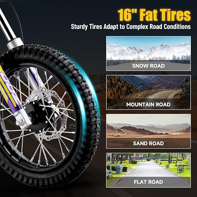 KOOZ HP112E 36V 1000W Electric Dirt Bike for Kids, 3 Speed Modes Teen Electric Motorcycle Up to 18 MPH & 15 Miles Long-Range, Dual Suspension & Disc Brake, 16" Sturdy Tire for Kids Teenagers