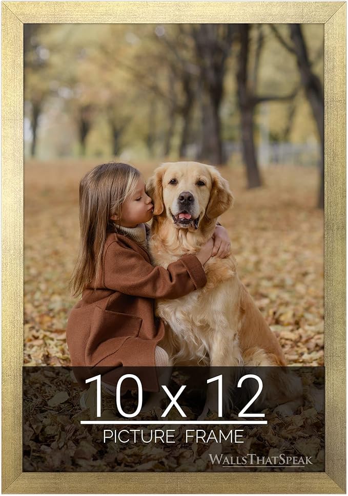 wallsthatspeak 10x12 Gold Picture Frame for Puzzles Posters Photos or Artwork
