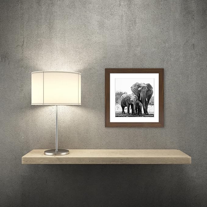 Americanflat 11x11 Picture Frame with Shatter-Resistant Glass - Use as 8x8 Frame with Mat or Display 11x11 Photo Without Mat - Signature Collection - Square Frames for Wall Display - Walnut