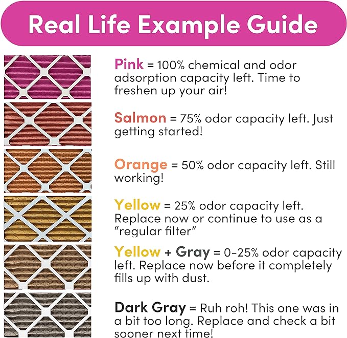 Colorfil 14x24x1 Air Filter (2-Pack) | Made in the USA | Color Changing | Remove Cat and Dog Odor | MERV 8 for Pet Hair Dander and Dust | 13.75"x23.75"x0.75" Exact Size